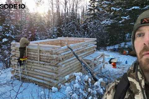 Winter Log Cabin Build on Offgrid Homestead |EP10|