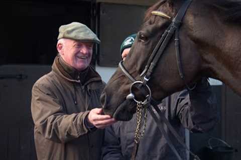 Willie Mullins: My team for the 2024 Cheltenham Festival
