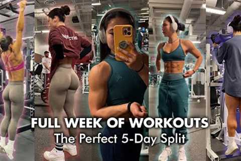 THE WORKOUT SPLIT THAT TRANSFORMED MY PHYSIQUE (my current split)