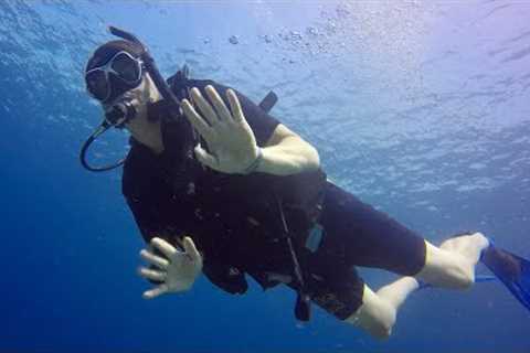 Learn how to scuba dive | The 5 essential diving skills