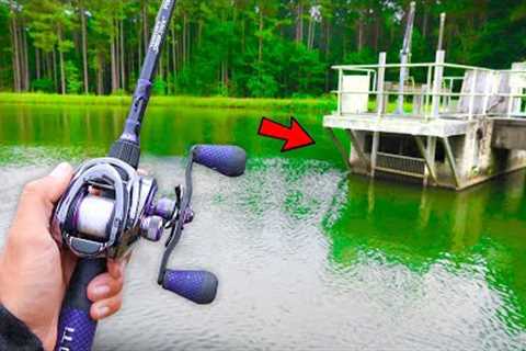 This TROPHY Lake is LOADED w/ GIANT Bass (Frog Fishing)