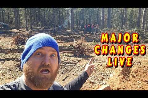 SO MUCH HAS CHANGED  |tiny house, homesteading off-grid cabin build DIY HOW TO sawmill tractor cabin