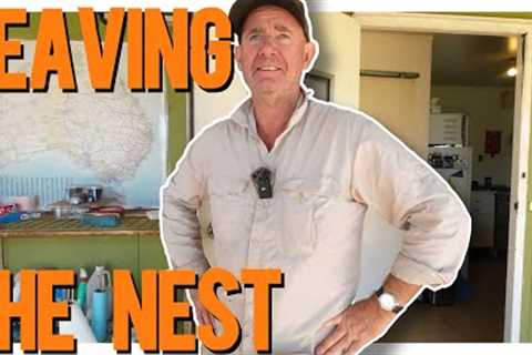 Ant leaves the nest