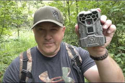 10 Tips to keeping your trail cameras from getting stolen on public land.