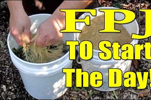 Easy Homemade Fertilizer Using Weeds &amp; Brown Sugar | Fermented Plant Juice aka FPJ