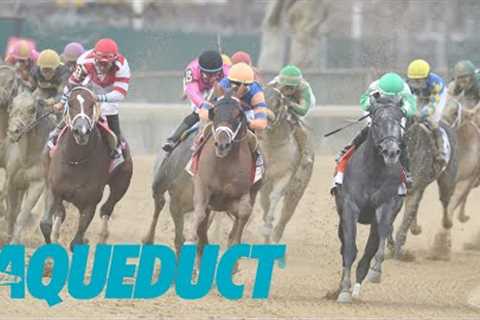 Aqueduct Simulcasting - February 19, 2024