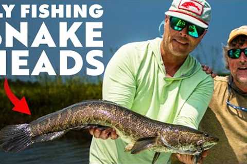 Fly Fishing in Virginia is Crazier Than I Thought!