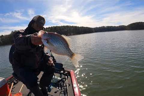Slab Crappie, Unseen Highlights, Lake Monticello