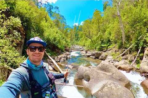 Fly Fishing Australia's Most Spectacular Trout River