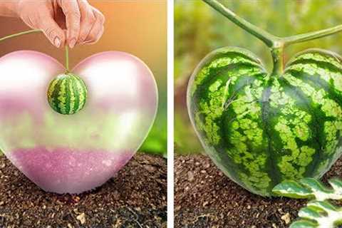 Discover New Gardening Hacks for Spring 🥕🌱🌷Beautiful Ideas for Abundant Flowers and Veggies