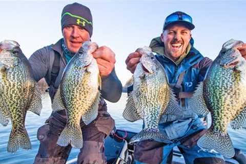LIVE BAIT VS ARTIFICIAL LURES Crappie Fishing on LAKE GUNTERSVILLE!