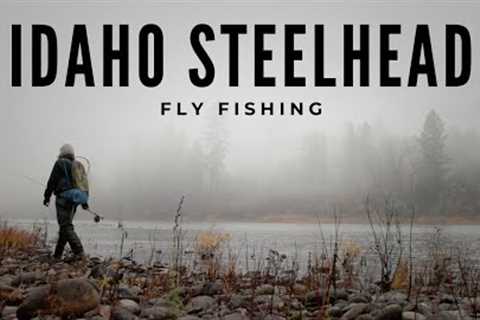 Fly Fishing Van Trip for Fall Steelhead in Idaho