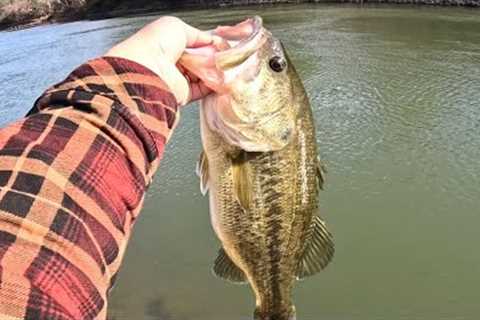 BIG BASS ARE HERE! | Lake Norman Bass Fishing (HOT HOLE)