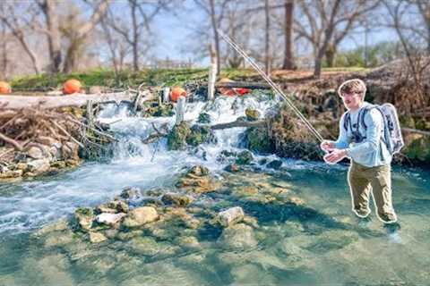 Exploring a Hidden Fishing Oasis in the City!
