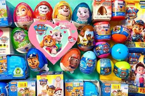 Asmr HUGE PAW PATROL SURPRISE TOYS 🐶 UNBOXING MYSTERY BOXES Blind Bags Satisfying ASMR Collection