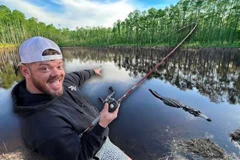 Fishing HIDDEN Florida Swamp for BIG FISH!