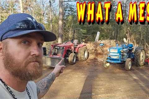 MEET THE FLOCK |tiny house, homesteading, off-grid cabin build DIY HOW TO sawmill tractor tiny cabin