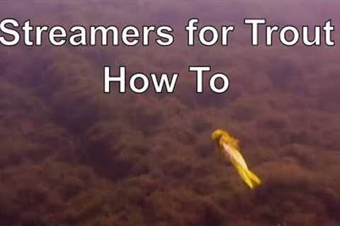 The Orvis Guide to Fly Fishing Streamers