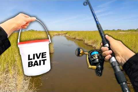 Eating Whatever I Catch.. Fishing the Saltwater Creeks (Catch and Cook)
