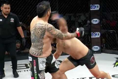 Best MMA Knockouts, ALL 2023 fights | HD, HIGHLIGHTS