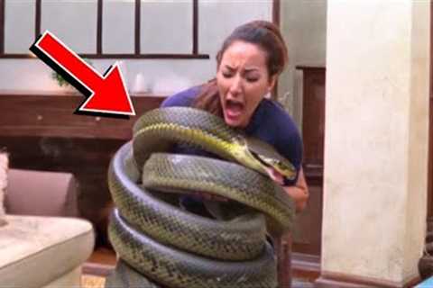 Unbelievable Pets That Ate Their Owners Right In Front Of Everyone