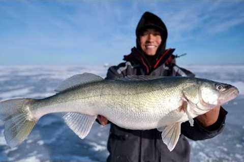Ice Fishing Lake Winnipeg for Giant Walleye!