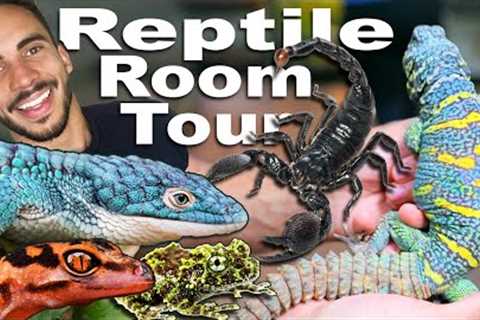Exotic &amp; Rare Reptile Room Tour!