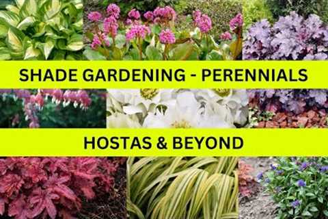 Landscape Design Ideas - Shade Gardening -Hostas &amp; Beyond