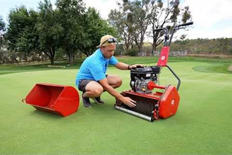 Making My Lawn Less Spongy // Grooming my Lawn