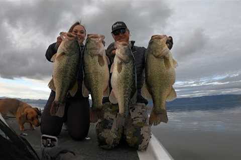 Clear Lake Fishing Report February 2024