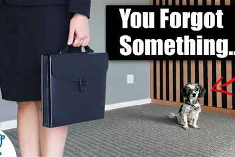 5 Mistakes You’re Making With Your Puppy Every Morning