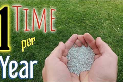 This Is The ONLY Time I'd EVER Apply Weed &amp; Feed To My Lawn