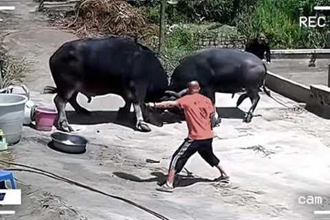 45 Incredible Moments Caught on CCTV Camera