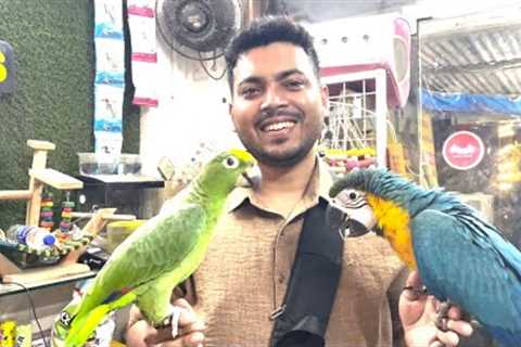 Wajid exotic pets new offers