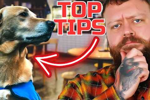 3 Top Tips To Get Your Dog To Behave Anywhere