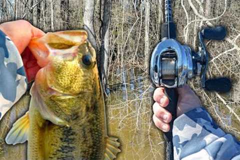 Fishing FLOODED Timber For MONSTER Bass (Giant Bag)