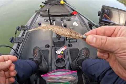 Kayak Bass Fishing at Lake Berryessa, Capell Cove
