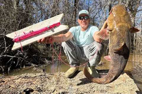 Fishing in the Swamp with a Board and some String. (Catfish Catch and Cook)