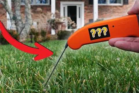 If you don't change this, your lawn will never change.