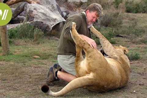 Heartwarming friendships between people and wild animals