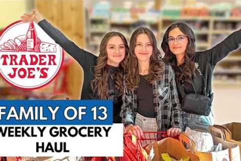 Big Family Grocery Haul With Shopping List - Let's Go Shopping!