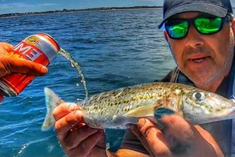 Do this to Catch Your Target Fish! King George Whiting Catch n Cook