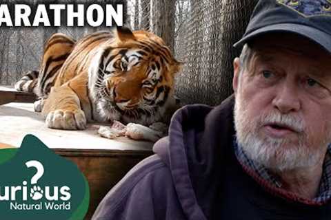 Man-Eating Exotic Pets &amp; Fascinating Owner Stories | Predator Pets | Curious?: Natural World