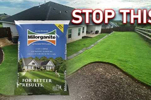 You're Doing Too Much to Fertilize Your Lawn // A Case Against Milorganite and Soil Tests for Grass