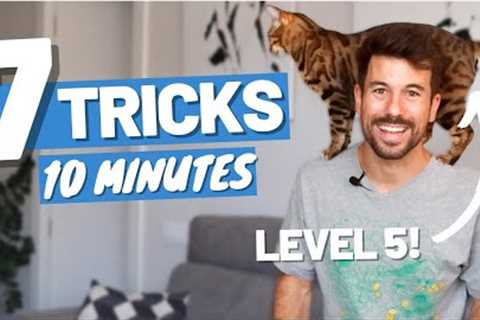 Learn 7 CAT TRICKS in 10 minutes - Easy to Teach Clicker Training