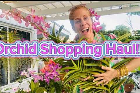 Awesome orchid sale haul!!