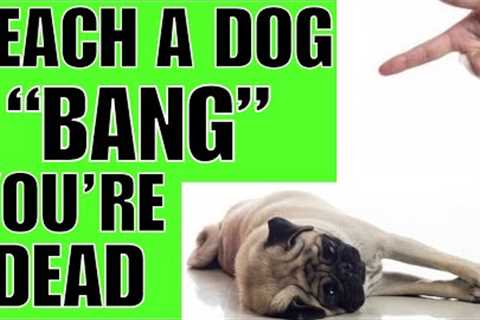 How To TEACH A Dog BANG You're DEAD!
