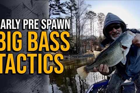Early Pre Spawn Big Bass Tactics #lakelanierfishing2024 #bassfishing