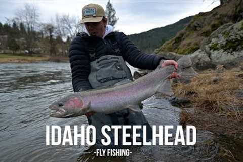 Fly Fishing for Spring Steelhead in Idaho