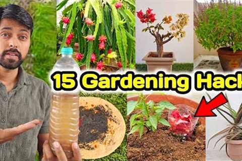My 15 Gardening Hacks you must know | DIY Home Garden ideas